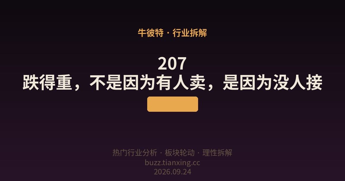 207 跌得重,不是因为有人卖,是因为没人接